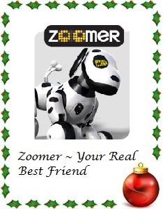 2013 Holiday Gift Guide Zoomer