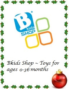 2013 Holiday Gift Guide Bkids Shop