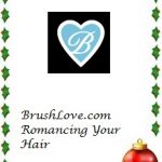 2013 Holiday Gift Guide Brush Love