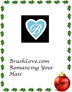 2013 Holiday Gift Guide Brush Love